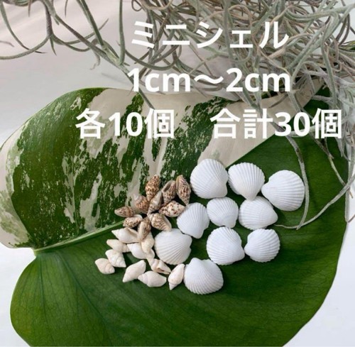 Shell set mini resin material - resin,