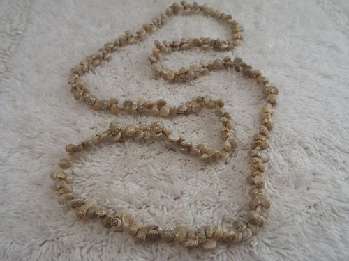 Taupe mini shell necklace - shell,