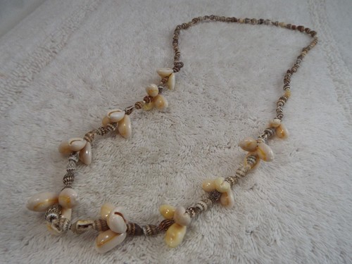 Mini brown cowrie shell - mini,