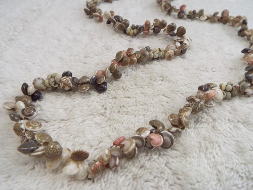 Mini brown white shell - white,