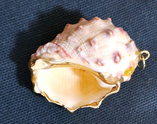 Very nice mini shell - nice, pendant