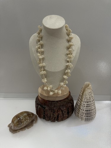 White mini shell cluster - mini,